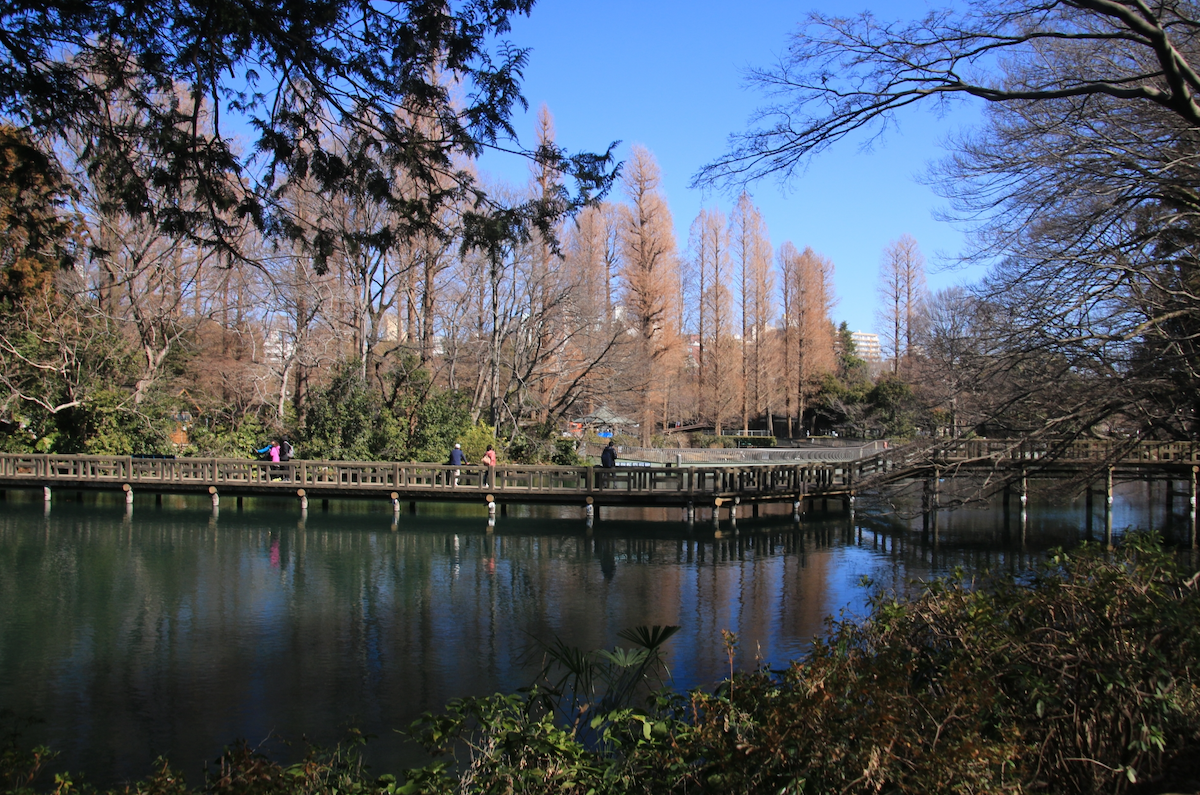 吉祥寺井の頭公園