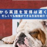 40歳から英語を習得は遅くない！忙しくても勉強ができる方法を紹介！