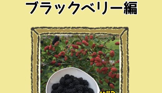 “bear fruit”の意味は！？身近な動詞の意外な意味！