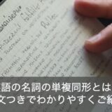 英語の名詞の単複同形とは？例文つきでわかりやすくご紹介