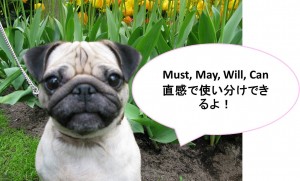 ネイティブの視点から直感で使い分け！　～　Can, Must, May, Will