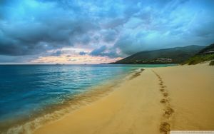 FOOTPRINTS IN THE SAND by Aaron