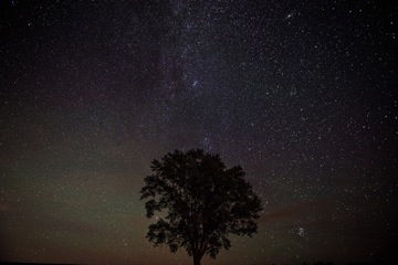 冬の夜空を見上げてみましょう！星に関する英語表現