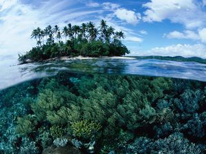 Papua New Guinea