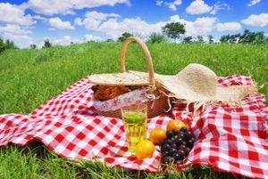 Let’s go on a picnic !