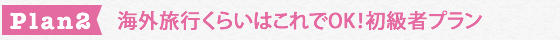 海外旅行くらいはこれでOK！初級者プラン