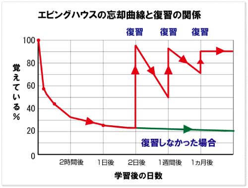 エビングハウス2