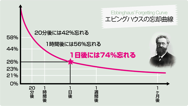 英語学習と年齢って関係ある？　- エビングハウスの忘却曲線を理解して学んだ英単語・文法を忘れないようにする方法