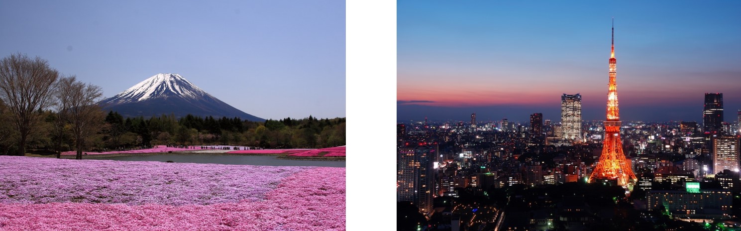 富士山と東京タワー