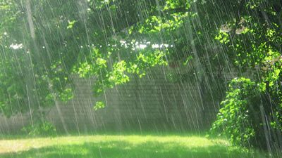 Rain and Men by Helen