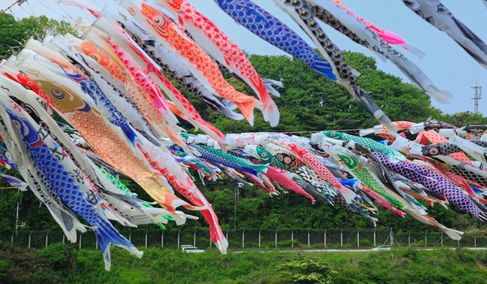 鯉のぼり　英語