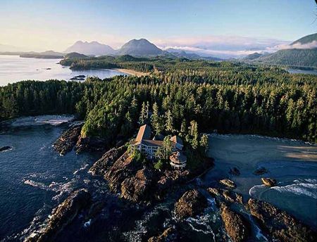 Tofino