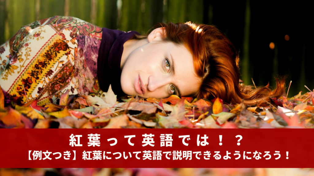 紅葉って英語では！？【例文つき】紅葉について英語で説明できるようになろう！