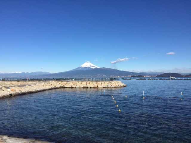 海