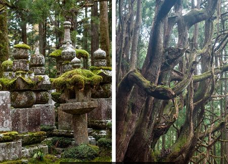 Kumano-Kodo, the Kohechi route by Judith