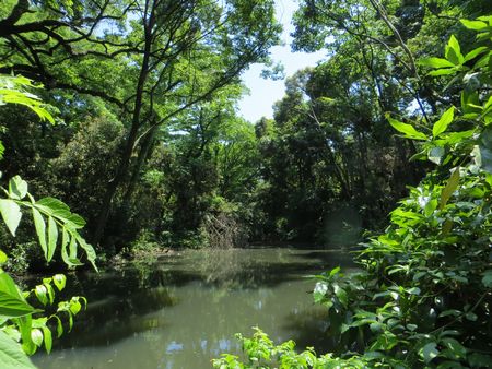 Meguro Nature Institute