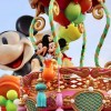 東京ディズニーランドで英会話