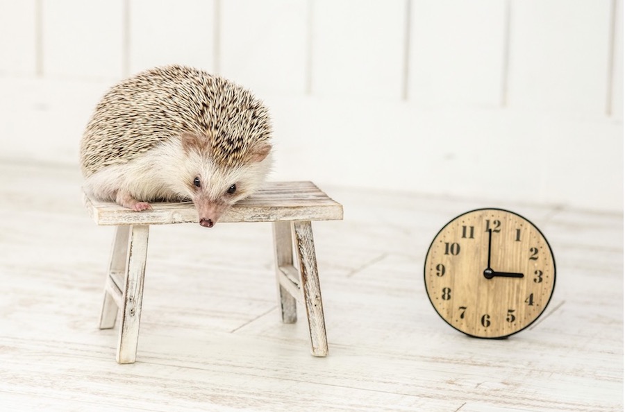 “What time is it now”は使わない？英語で時間・数字を伝える方法！