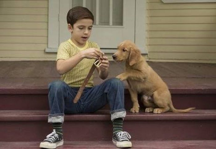 A Dog’s Purpose4