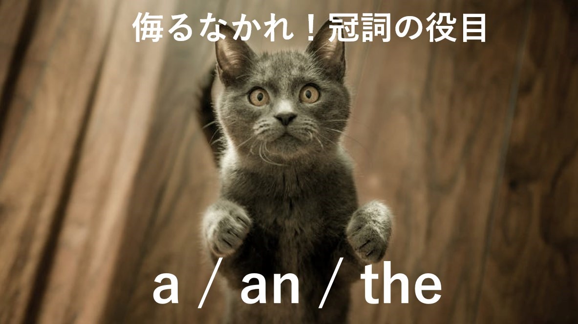 一歩間違えると全く違う意味？！侮るなかれ – 冠詞の役目！