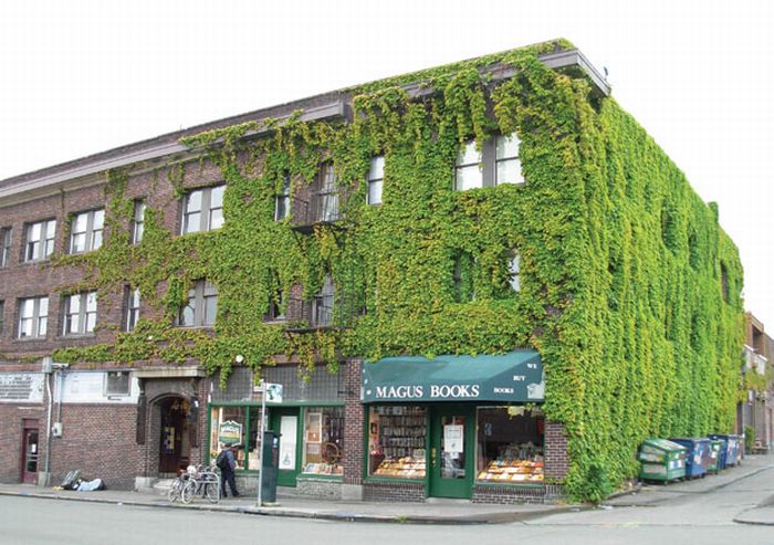 seattle bookstore