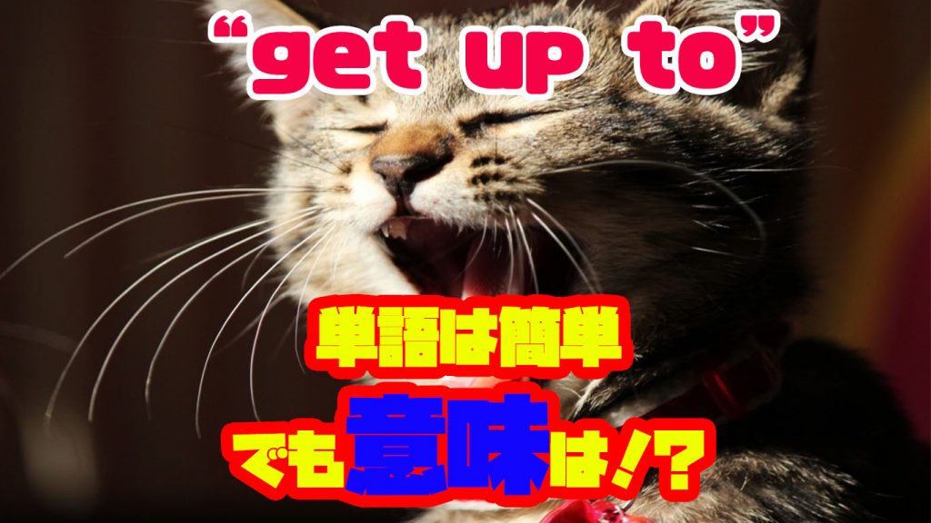 “What did you get up to yesterday?”の”get up to”の意味とは？”get”を使ったフレーズ集