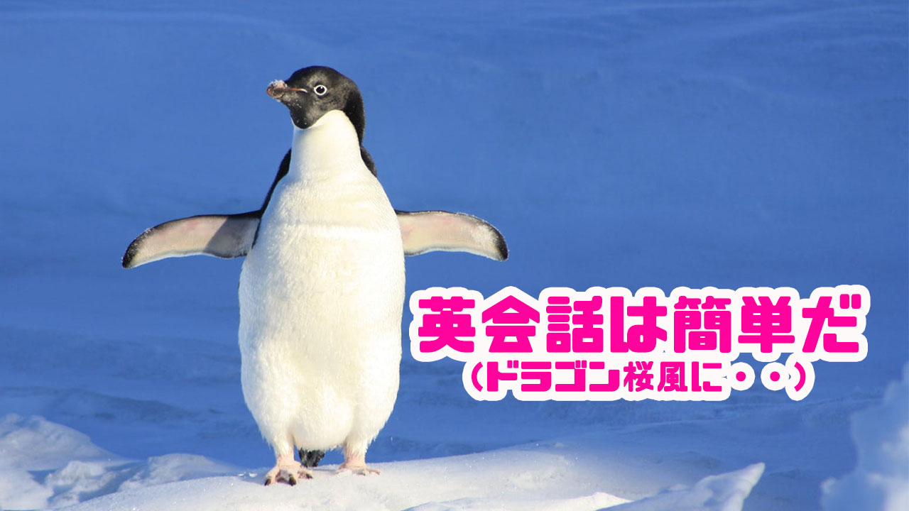 ドラゴン桜と英会話