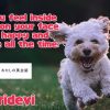 Srideviの英語の名言