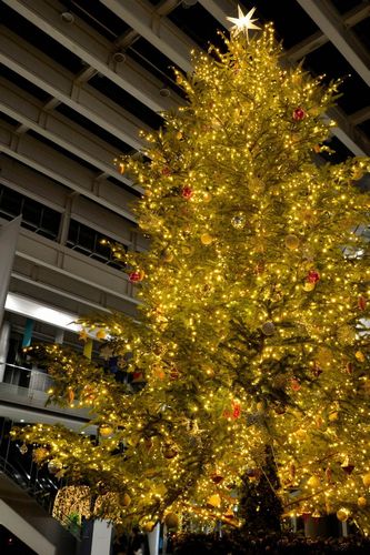 もうすぐクリスマスって英語では クリスマスのワクワク気分を英語で伝えちゃおう もうすぐクリスマスって英語では クリスマスのワクワク気分を英語で伝えちゃおう