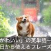 「可愛い」の英単語一覧！今日から使えるフレーズをご紹介