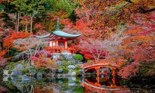 My favorite things to do in autumn. by Stefanie