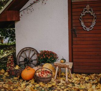 The Harvest Season: Fall in America by Bianca