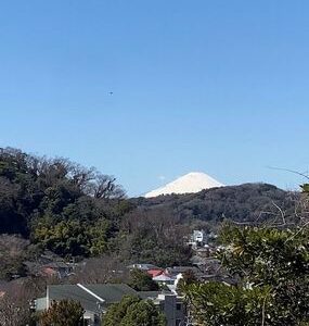 Embracing the Outdoors: A Journey to Kamakura and Enoshima ! by Elisa
