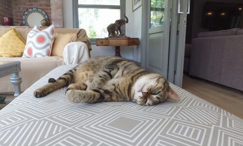 Enjoying Sunny and Rainy Days by Amber