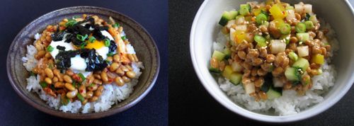 Exploring with Natto by Rachel