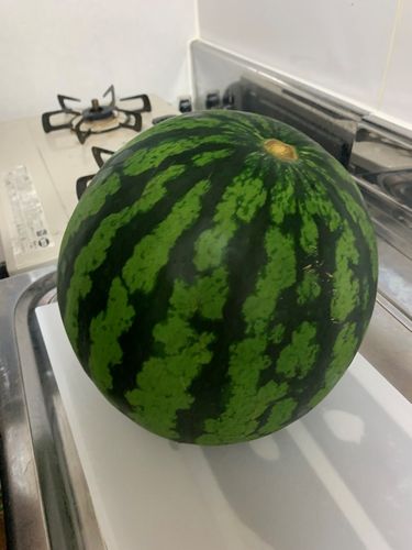 Watermelon Rind Kimchi by Henna