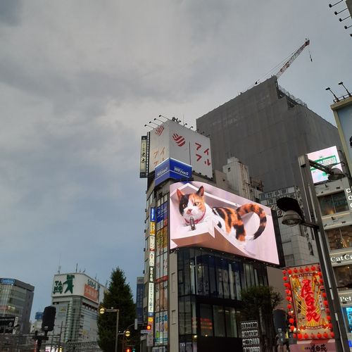 Tokyo Adventures by Asa