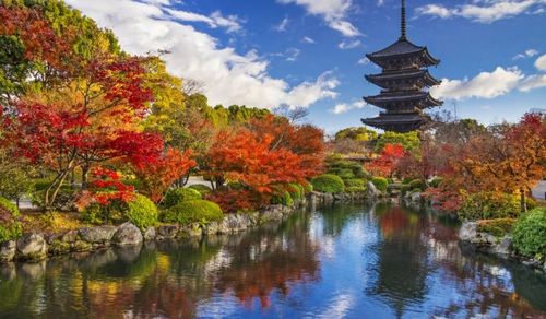 Plans for Autumn by Rachel
