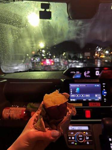 A Rainy Day Adventure by Alina