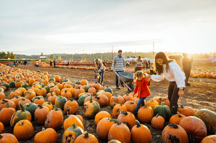 A Trip to the Pumpkin Patch by Rachel