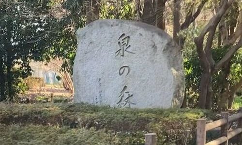 A Day Out in Izumi no Mori by Alison