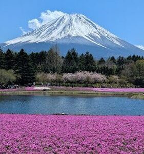 Shizuoka Adventure! by Amber