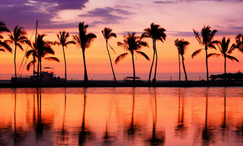 Aloha from Chel’C！