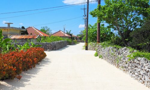 Island Time in Ishigaki by Andrea