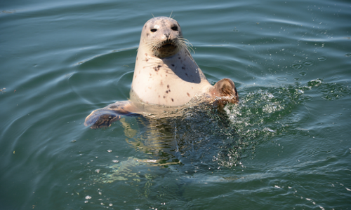 A Little Trip Back Home to Washington! by Skye