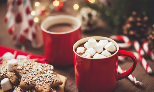 A Cozy Holiday Season in Japan and America by Eric