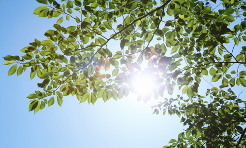 Enjoy the sun this winter season by Asher