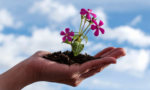 Choosing Progress, One Action at a Time by Micah