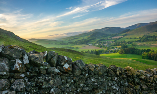 Nice to Meet You, I’m Alex