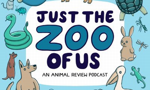 Fun and Easy Listening with Podcasts by Jasmin